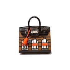 Hermès Limited Edition Faubourg Sellier Birkin 20 PHW en excellente condition